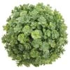 5.5" Green Soft Touch Sedum Orb