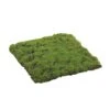 Square Moss Sheet, 12" X 12" -Michaels D265773S 1