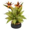 20" Bird Of Paradise And Musa Leaf Arrangement In Stoneware Bowl 1 20" Bird Of Paradise And Musa Leaf Arrangement In Stoneware Bowl -Michaels D292540S 11