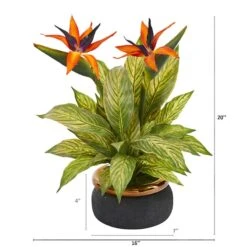 20" Bird Of Paradise And Musa Leaf Arrangement In Stoneware Bowl -Michaels D292540S 12