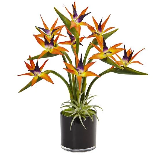 24" Bird Of Paradise Arrangement In Black Glossy Cylinder 3 24" Bird Of Paradise Arrangement In Black Glossy Cylinder