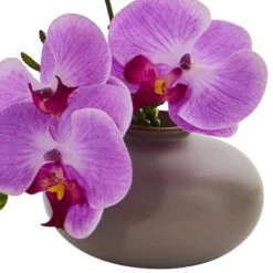 7" Assorted Moth Orchid Arrangement, 3ct. -Michaels D292568S 13