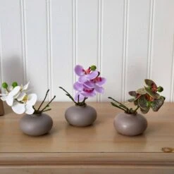 7" Assorted Moth Orchid Arrangement, 3ct. -Michaels D292568S 15