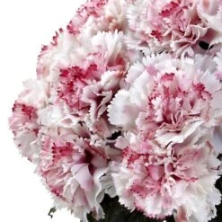 11" Pink And White Carnation Arrangement In Vase -Michaels D292573S 12