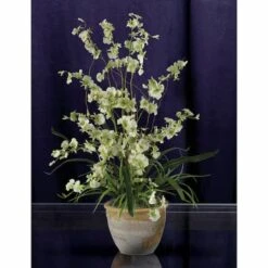 2ft. Green Dancing Lady Orchid Arrangement In Ceramic Vase 9 2ft. Green Dancing Lady Orchid Arrangement In Ceramic Vase -Michaels D292608S 12