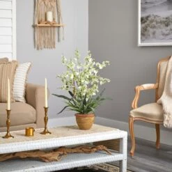 2ft. Green Dancing Lady Orchid Arrangement In Ceramic Vase 10 2ft. Green Dancing Lady Orchid Arrangement In Ceramic Vase -Michaels D292608S 13