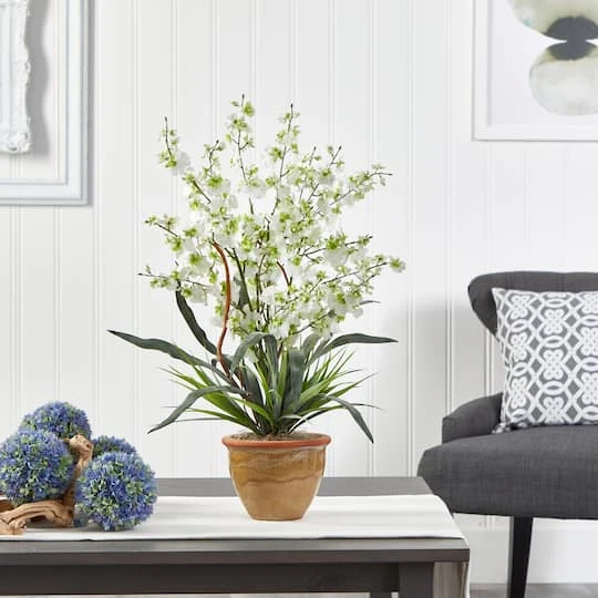 2ft. Green Dancing Lady Orchid Arrangement In Ceramic Vase 7 2ft. Green Dancing Lady Orchid Arrangement In Ceramic Vase - Image 5