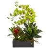 23.5" Green Pigeon Orchid & Bromeliad Arrangement In Black Rectangle Planter 2 23.5" Green Pigeon Orchid & Bromeliad Arrangement In Black Rectangle Planter -Michaels D292615S 11
