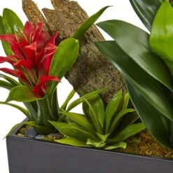 23.5" Green Pigeon Orchid & Bromeliad Arrangement In Black Rectangle Planter -Michaels D292615S 12