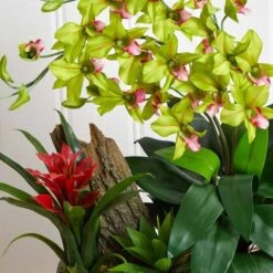 23.5" Green Pigeon Orchid & Bromeliad Arrangement In Black Rectangle Planter -Michaels D292615S 17