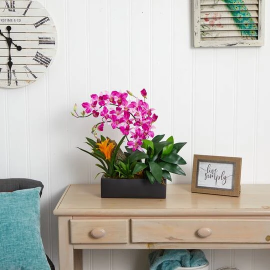 23.5" Purple Pigeon Orchid & Bromeliad Arrangement In Black Rectangle Planter 8 23.5" Purple Pigeon Orchid & Bromeliad Arrangement In Black Rectangle Planter - Image 6