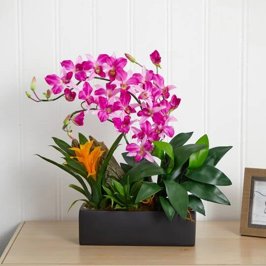 23.5" Purple Pigeon Orchid & Bromeliad Arrangement In Black Rectangle Planter 9 23.5" Purple Pigeon Orchid & Bromeliad Arrangement In Black Rectangle Planter - Image 7