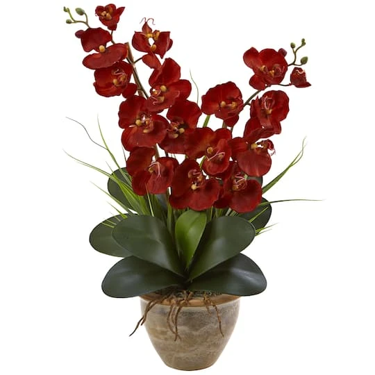 2ft. Red Double Stem Orchid Arrangement In Ceramic Vase 4 2ft. Red Double Stem Orchid Arrangement In Ceramic Vase - Image 2