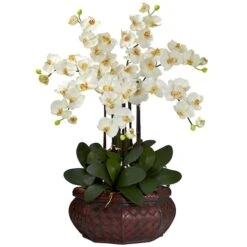 2.5ft. Potted Large Moth Orchid Arrangement, Cream -Michaels D292664S 11 1