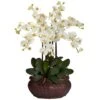 2.5ft. Potted Large Moth Orchid Arrangement, Cream -Michaels D292664S 11