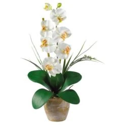 21" Moth Orchid Arrangement In Ceramic Planter -Michaels D292693S 11 1