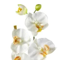 21" Moth Orchid Arrangement In Ceramic Planter -Michaels D292693S 12