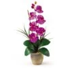21" Moth Orchid Arrangement In Ceramic Pot -Michaels D292695S 1