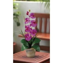 21" Moth Orchid Arrangement In Ceramic Pot -Michaels D292695S 2