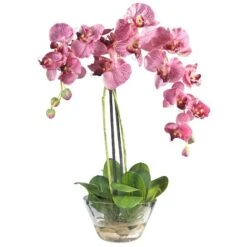18" Moth Orchid Arrangement In Glass Vase -Michaels D292700S 11 1