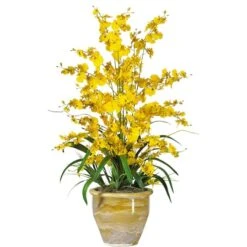 2.5ft. Yellow Triple Dancing Lady Orchid Arrangement In Planter 5 2.5ft. Yellow Triple Dancing Lady Orchid Arrangement In Planter -Michaels D292739S 1 1