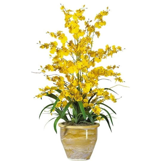 2.5ft. Yellow Triple Dancing Lady Orchid Arrangement In Planter 4 2.5ft. Yellow Triple Dancing Lady Orchid Arrangement In Planter - Image 2
