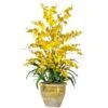 2.5ft. Yellow Triple Dancing Lady Orchid Arrangement In Planter 1 2.5ft. Yellow Triple Dancing Lady Orchid Arrangement In Planter -Michaels D292739S 1