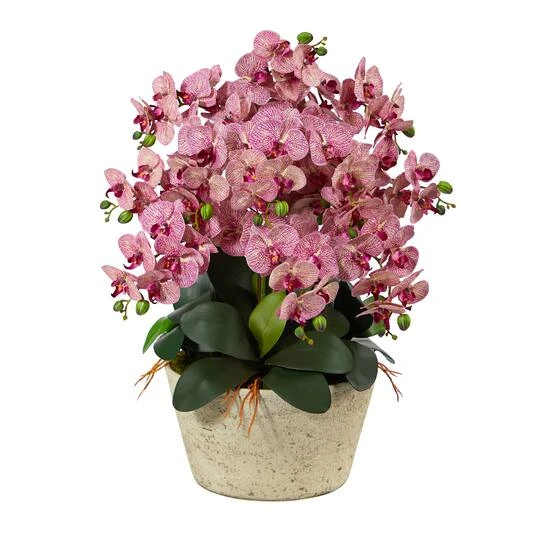 3ft. Moth Orchid Arrangement In White Vase 4 3ft. Moth Orchid Arrangement In White Vase - Image 2