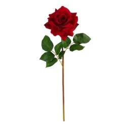 Red Rose Stem, 6ct.