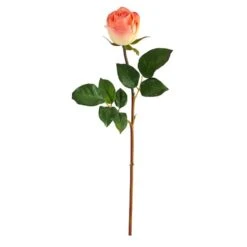 Peach & Cream Rose Bud Stem, 6ct.