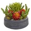12in. Succulent Garden In Stone Bowl -Michaels D293351S 11