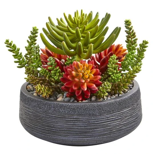 12in. Succulent Garden In Stone Bowl 3 12in. Succulent Garden In Stone Bowl