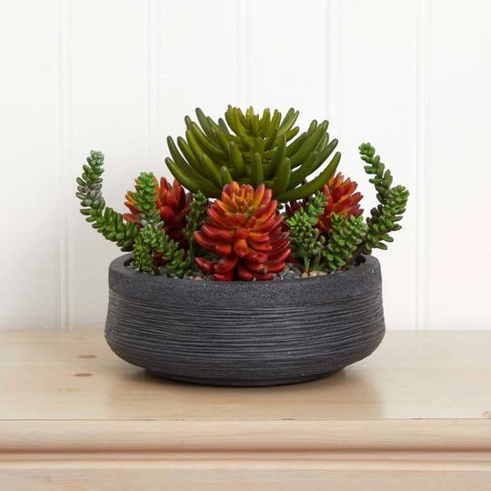 12in. Succulent Garden In Stone Bowl 5 12in. Succulent Garden In Stone Bowl - Image 3