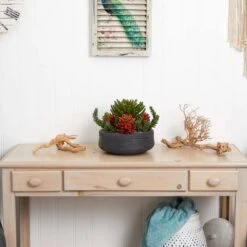 12in. Succulent Garden In Stone Bowl 9 12in. Succulent Garden In Stone Bowl -Michaels D293351S 13