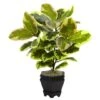 22in. Variegated Rubber Leaf Plant In Wood Planter -Michaels D293362S 1