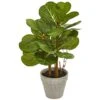22" Fiddle Leaf In Stone Planter -Michaels D293363S 11