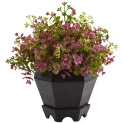 13in. Sedum & Eucalyptus Plant In Black Hexagon Planter