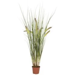 2.5ft. Potted Grass Plant -Michaels D293378S 11 1