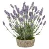 20in. Lavender Plant In Weathered Oak Planter -Michaels D293384S 1