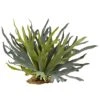 21" Staghorn Fern, 2ct. -Michaels D293385S 1