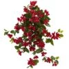 2ft. Bougainvillea Hanging Bush, 2ct. -Michaels D293391S 11