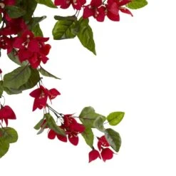 2ft. Bougainvillea Hanging Bush, 2ct. -Michaels D293391S 13