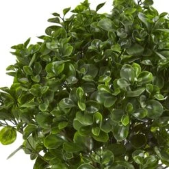2.5ft. Peperomia Plant In Sand Stone Planter -Michaels D293424S 12