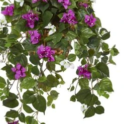 2.5ft. Mixed Bougainvillea In Hanging Basket -Michaels D293431S 13