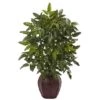 2.5ft. Bracken Fern In Decorative Planter -Michaels D293438S 11