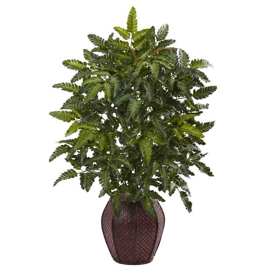 2.5ft. Bracken Fern In Decorative Planter 3 2.5ft. Bracken Fern In Decorative Planter
