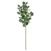 Green Eucalyptus Branch, 6ct. 1 Green Eucalyptus Branch, 6ct. -Michaels D293441S 1