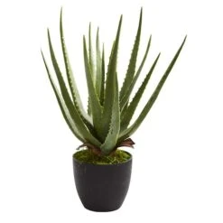 18" Potted Aloe Plant, 2ct. -Michaels D293821S 12