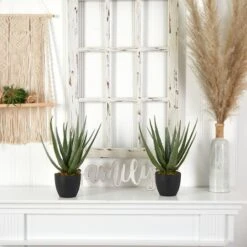 18" Potted Aloe Plant, 2ct. -Michaels D293821S 13