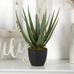 18" Potted Aloe Plant, 2ct. -Michaels D293821S 14